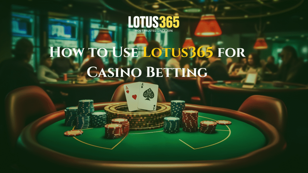 How to Use Lotus365 for Casino Betting